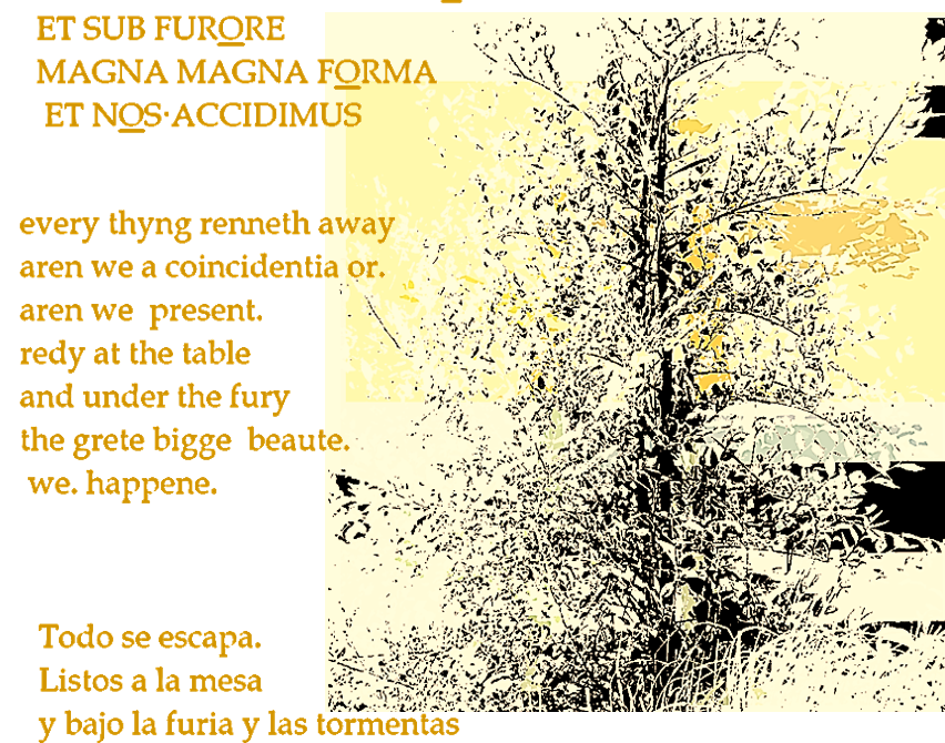 latin+spanish+middle english